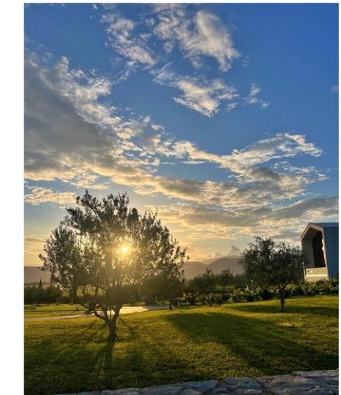 Sunset over the olive trees and gardens of the Emporia estate