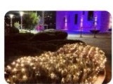 A garden path at Emporia strung with warm holiday lights